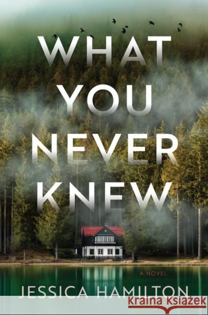 What You Never Knew: A Novel Jessica Hamilton 9781639103034 Crooked Lane Books