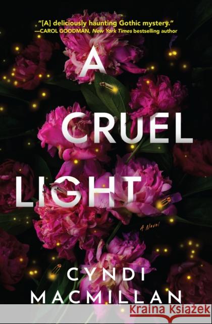 A Cruel Light: A Novel Cyndi Macmillan 9781639103256 Crooked Lane Books