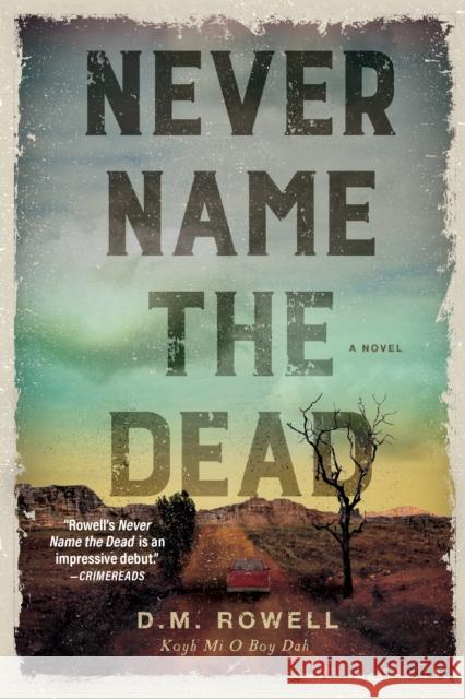 Never Name The Dead: A Novel D. M. Rowell 9781639107209 Crooked Lane Books