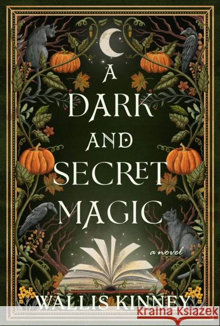 A Dark and Secret Magic: A Novel Wallis Kinney 9781639109890 Alcove Press