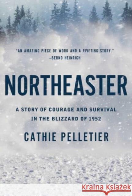Northeaster: A Story of Courage and Survival in the Blizzard of 1952 Cathie Pelletier 9781639365807 Pegasus Books