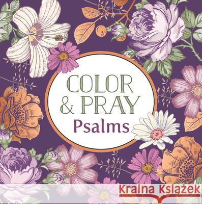 Color & Pray: Psalms (Keepsake Coloring Book) New Seasons                              Publications International Ltd 9781639385782 New Seasons