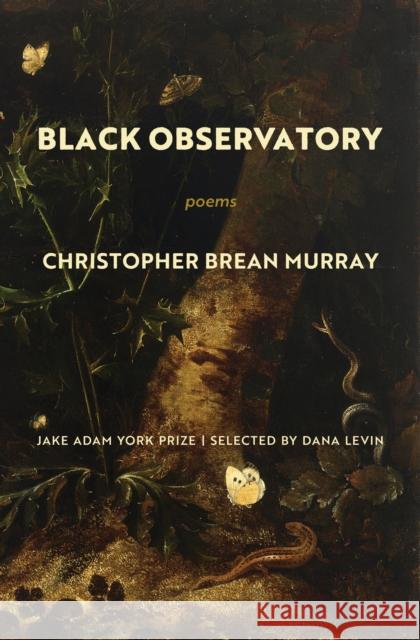 Black Observatory: Poems Christopher Brea 9781639550265 Milkweed Editions