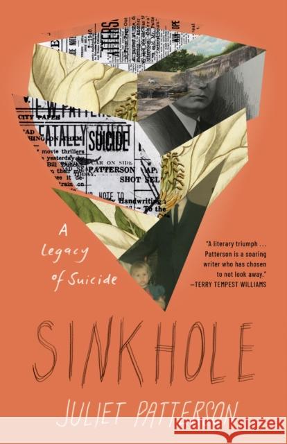 Sinkhole: A Legacy of Suicide Juliet Patterson 9781639550678