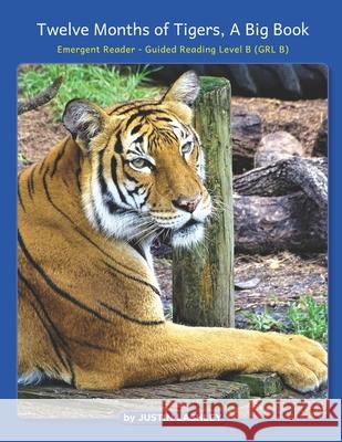 Twelve Months of Tigers, A Big Book: Emergent Reader - Guided Reading Level B (GRL B) Justin Lashley 9781639711048 Conserve Our Wild