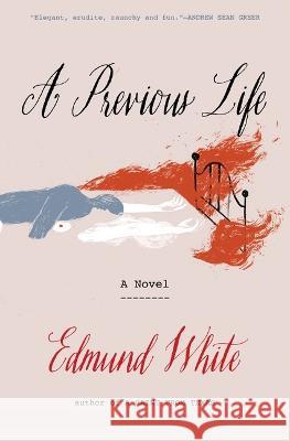 A Previous Life: Another Posthumous Novel White, Edmund 9781639730728 Bloomsbury Publishing