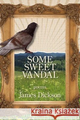 Some Sweet Vandal James Dickson   9781639801183 Kelsay Books