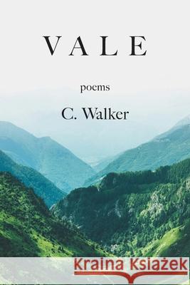 Vale C. Walker 9781639805877 Kelsay Books