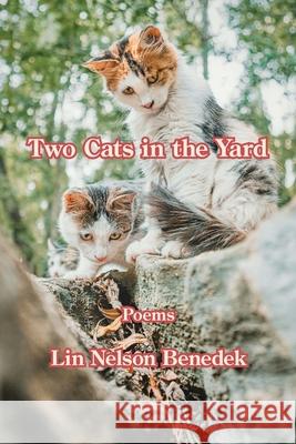 Two Cats in the Yard Lin Nelson Benedek 9781639807727 Kelsay Books