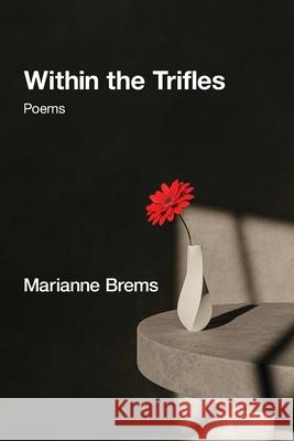 Within the Trifles Marianne Brems 9781639808496