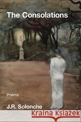 The Consolations J. R. Solonche 9781639808571