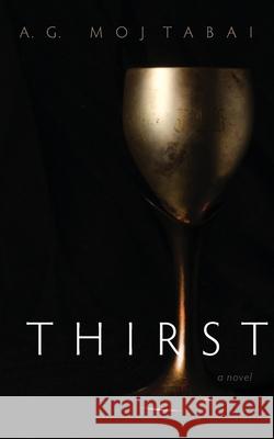 Thirst A. G. Mojtabai 9781639820870 Slant Books