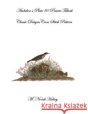 Audubon's Plate 80 Prairie Titlark: Classic Designs Cross Stitch Pattern M. Norah Halsey 9781640041707 Silver City Publications & Training, L.L.C.