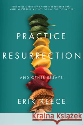 Practice Resurrection: And Other Essays  9781640092068 Counterpoint LLC