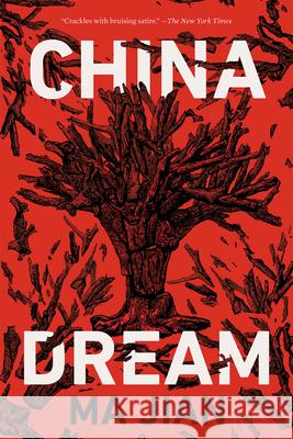 China Dream  9781640093867 Counterpoint LLC
