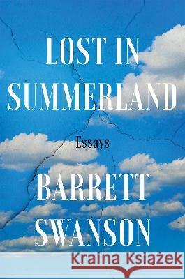 Lost in Summerland: Essays Barrett Swanson 9781640095328 Counterpoint LLC