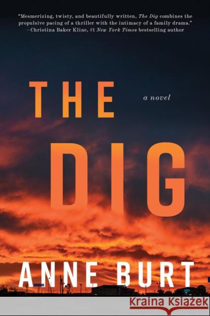 The Dig: A Novel Anne Burt 9781640096042