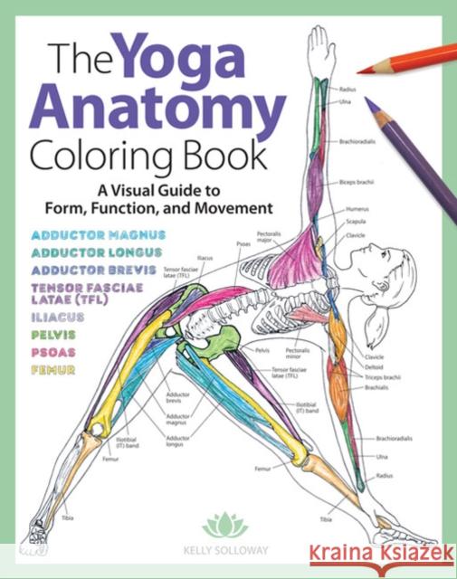The Yoga Anatomy Coloring Book: A Visual Guide to Form, Function, and Movement Kelly Solloway 9781640210219 Get Creative 6