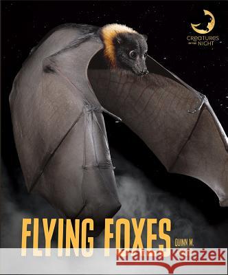 Flying Foxes Quinn M. Arnold 9781640261181 Creative Education