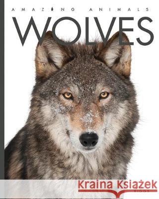 Wolves Valerie Bodden 9781640262102