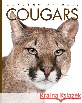 Cougars Kate Riggs 9781640265103 Creative Education