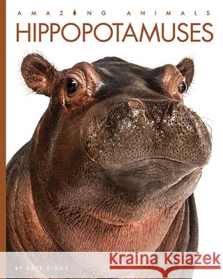 Hippopotamuses Kate Riggs 9781640265134 Creative Education
