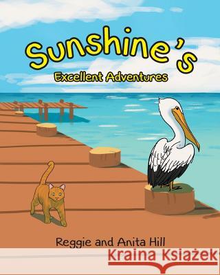 Sunshine's Excellent Adventures Reggie and Anita Hill 9781640282131 Christian Faith