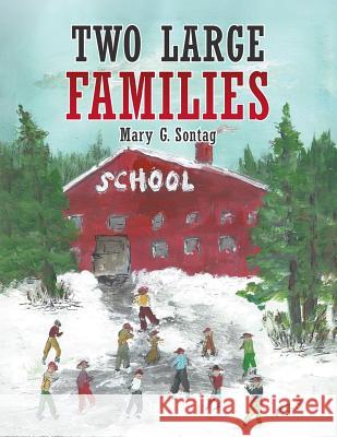 Two Large Families Mary G Sontag 9781640457676 Litfire Publishing, LLC