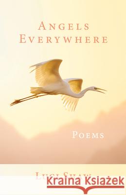 Angels Everywhere: Poems Luci Shaw 9781640607200