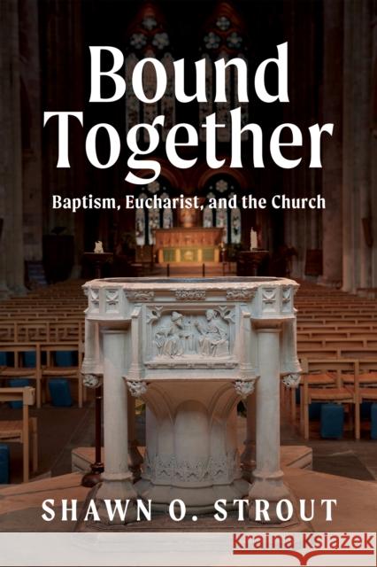 Bound Together: Baptism, Eucharist, and the Church Shawn O. Strout 9781640657328 Seabury Books