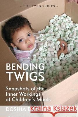 Bending Twigs: Snapshots of the Inner Workings of Children's Minds Doshia Daniels Burton 9781640883499 Trilogy Christian Publishing, Inc.