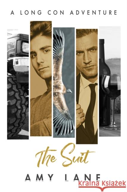 The Suit: Volume 4 Amy Lane 9781641083775 Dreamspinner Press