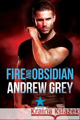 Fire and Obsidian: Volume 4 Andrew Grey 9781641084918 Dreamspinner Press LLC