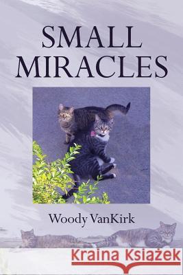 Small Miracles Woody Vankirk 9781641144681 Christian Faith