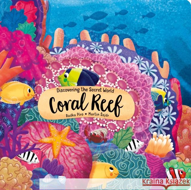 Discovering the Secret World of the Coral Reef Radka Piro 9781641241373 Fox Chapel Publishing