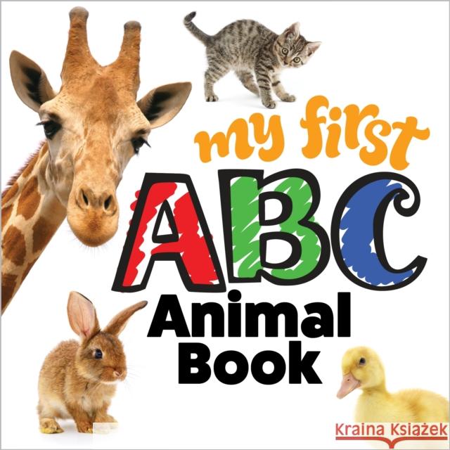 My First ABC Animal Book Editors of Happy Fox Books 9781641242974 Fox Chapel Publishing
