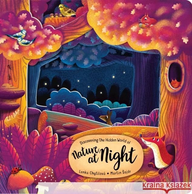 Discovering the Hidden World of Nature at Night Sojdr, Martin 9781641243148 Happy Fox Books