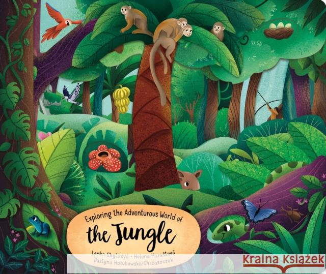 Exploring the Adventurous World of the Jungle Lenka Chytilova 9781641243452 Fox Chapel Publishing