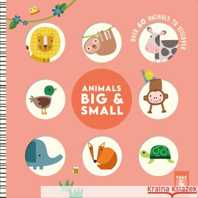 Animals Big & Small: Over 60 Animals to Discover Rebecca Weerasekera 9781641243933