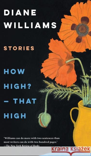 How High? - That High Diane Williams 9781641294102 Soho Press