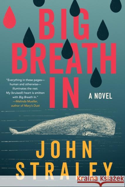 Big Breath In John Straley 9781641296540 Soho Crime