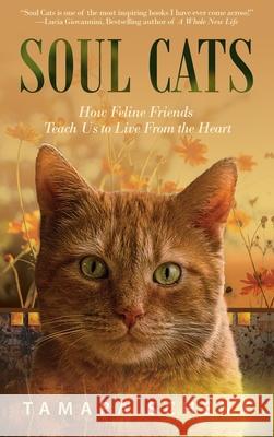 Soul Cats: How Our Feline Friends Teach Us to Live from the Heart Schenk, Tamara 9781641466837