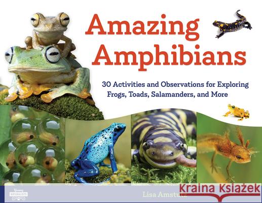 Amazing Amphibians: 30 Activities and Observations for Exploring Frogs, Toads, Salamanders, and Morevolume 6 Amstutz, Lisa J. 9781641600729 Chicago Review Press