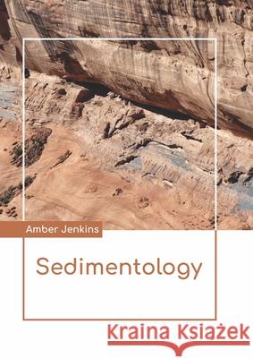 Sedimentology Amber Jenkins 9781641726429 Larsen and Keller Education