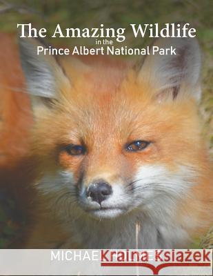 The Amazing Wildlife in the Prince Albert National Park Michael Holmes 9781641821759 Austin MacAuley Publishers LLC