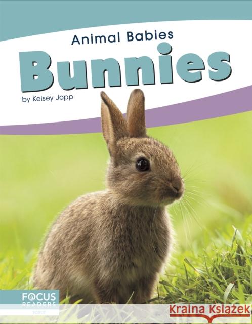 Bunnies Kelsey Jopp 9781641857437 Focus Readers