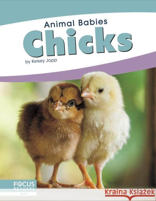 Chicks Kelsey Jopp 9781641857444 Focus Readers