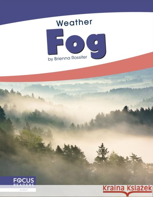 Fog Brienna Rossiter 9781641858588 North Star Editions