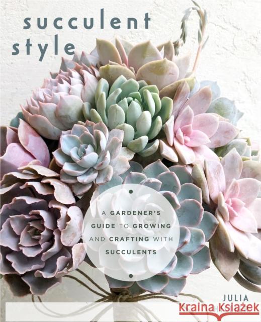 Succulent Style: A Gardener's Guide to Growing and Crafting with Succulents Julia Hiller 9781642507850 