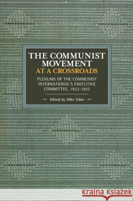 The Communist Movement at a Crossroads: Plenums of the Communist International's Executive Committee, 1922-1923 Taber, Mike 9781642590128
